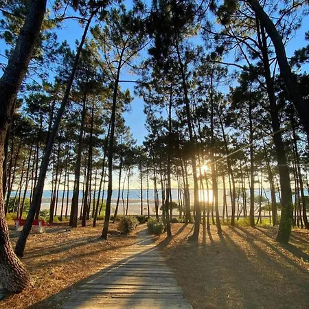 Duplex 4 Pers - 80 M2 - Abatilles - Grande Terrasse - Parking *